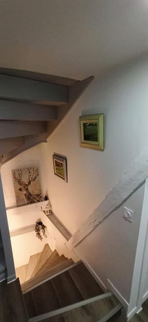 Chez Soline - Le Duplex Climatise Amboise Buitenkant foto