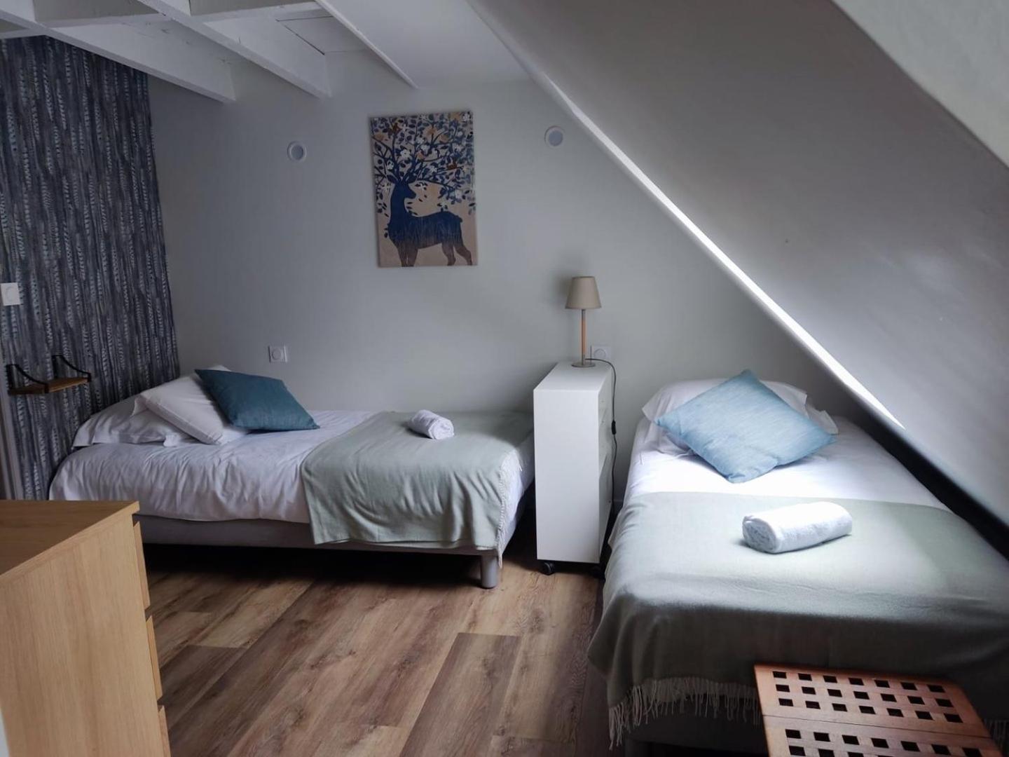 Chez Soline - Le Duplex Climatise Amboise Buitenkant foto